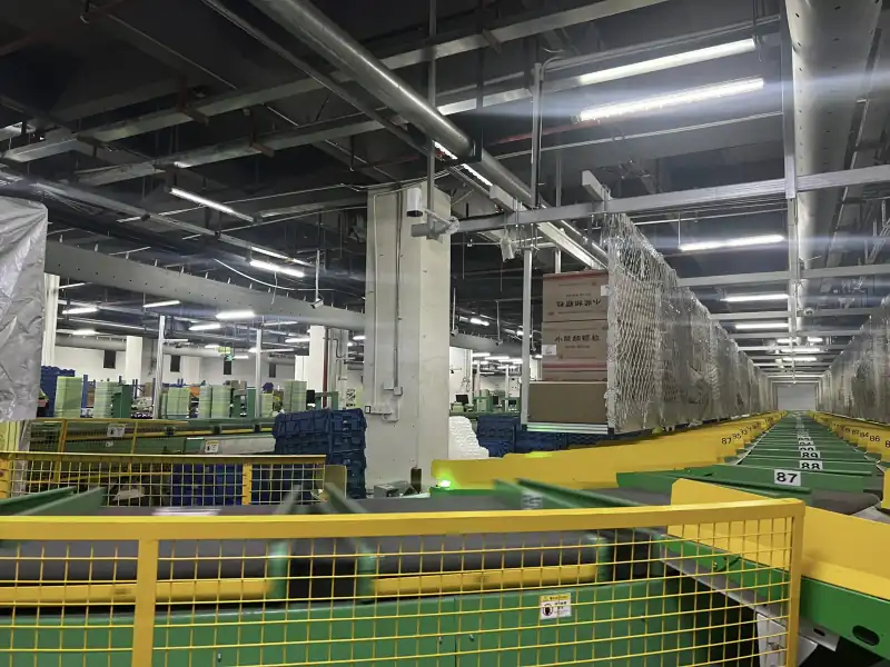 Automated Sorting Line